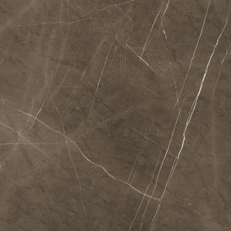 PPI70820