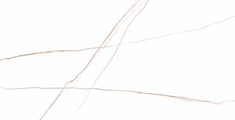 P70679