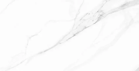 P70651