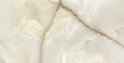 P70669