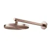 Thumbnail DUCHA DOCOL EDEN 887969 200MM COBRE CEP1