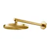 Thumbnail DUCHA DOCOL EDEN 887972 200MM ORO CEPILLADO1